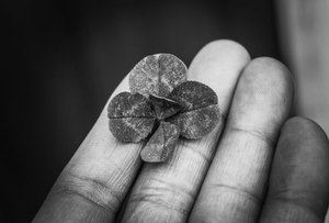  Nền tảng uy tín 